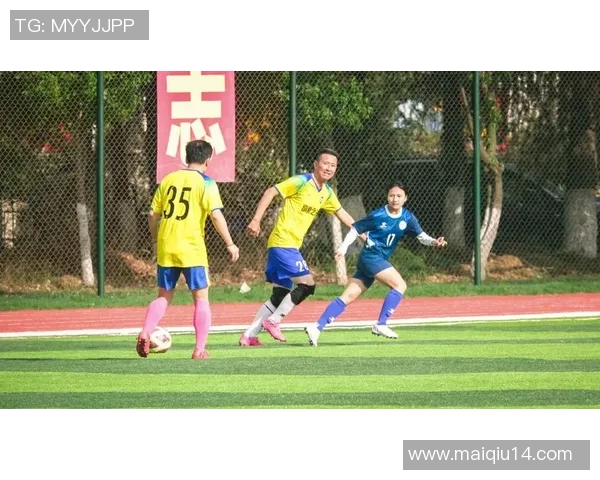 杭州足球队荣登足球状态排行榜首位展现强劲实力与团队精神