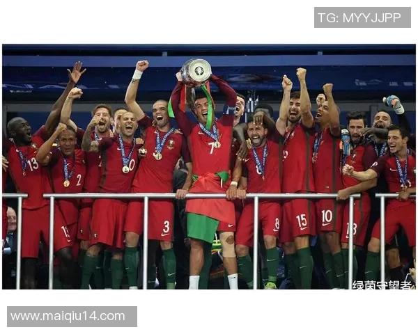 排球新手必看攻略与欧冠足球入门指南全解析