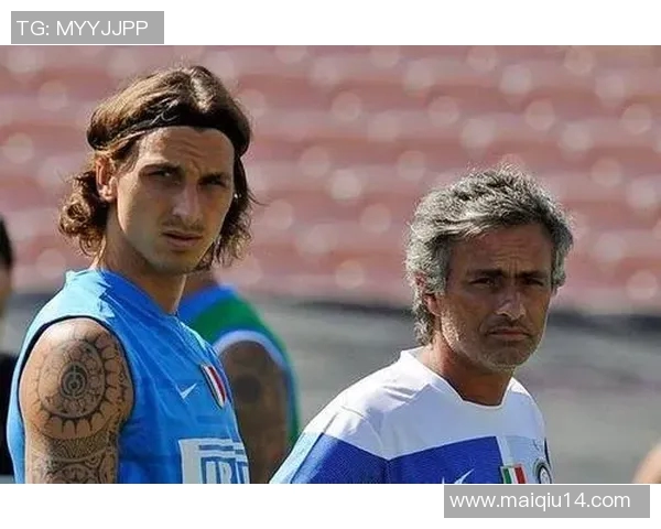 英超重磅专题聚焦广州排球队防反战术革新与发展探讨